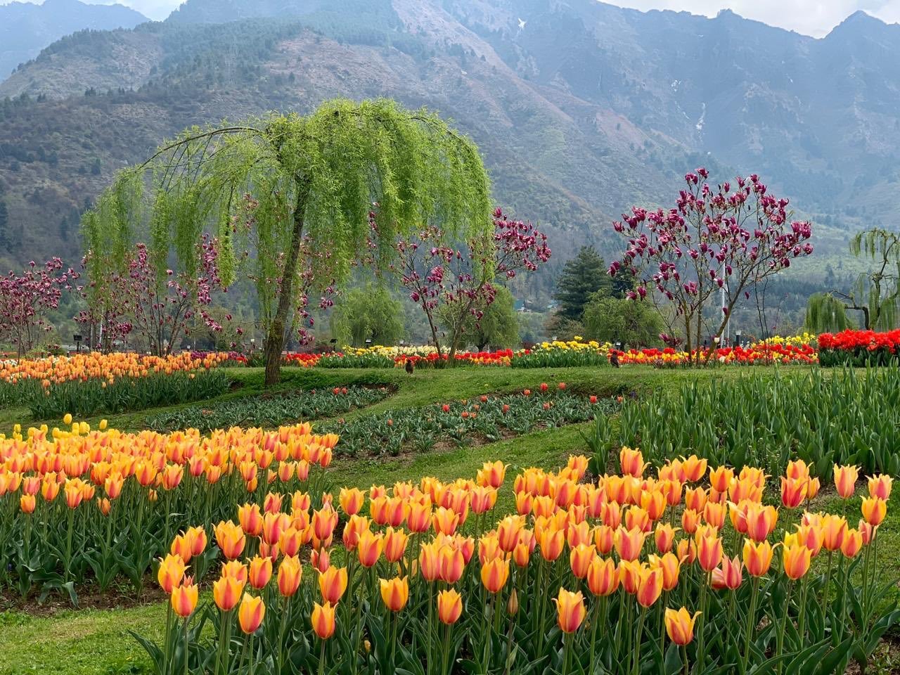Discover the Beauty of Betaab Valley: A Must-Visit Gem in Kashmir